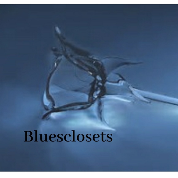 bluesclosets